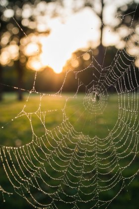 Mofa Gongzhu de Xiao Fannao