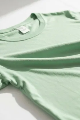 Shiro Seijo to Kuro Bokushi